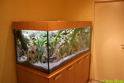 Malawibecken